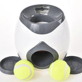 Automatic Pet Training And Feeding System