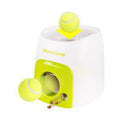 Automatic Pet Training And Feeding System