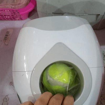 Automatic Pet Training And Feeding System