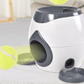 Automatic Pet Training And Feeding System